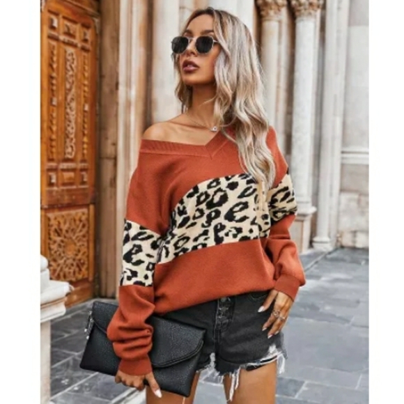Sweaters - 💲⬇️NEW! Rust & Leopard Print V-Neck Sweater L